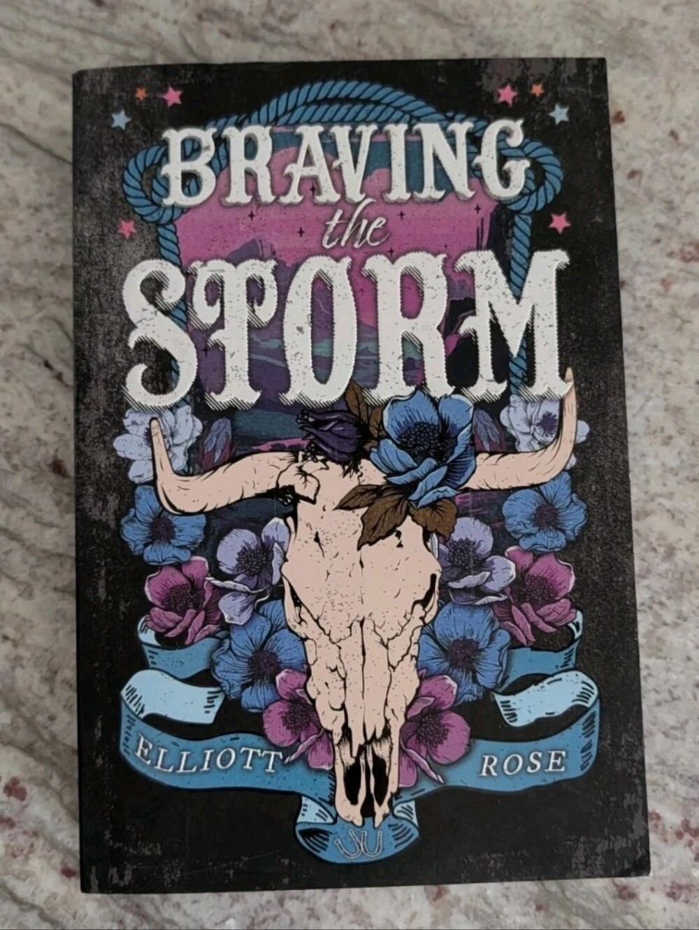 Braving The Storm NEW Soft Cover Book Author Elliott Rose A Crimson Ridge Novel